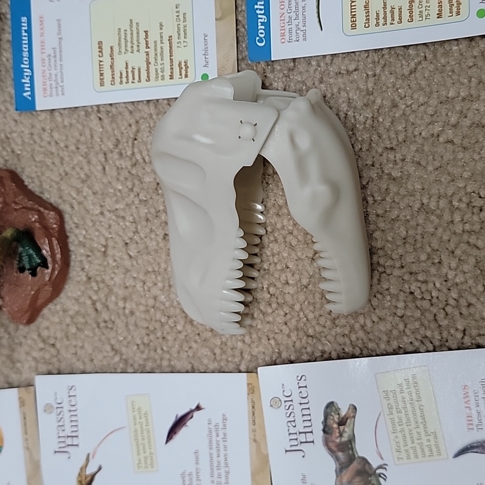 Dinosaur Learning Set - Picture 3 of 5